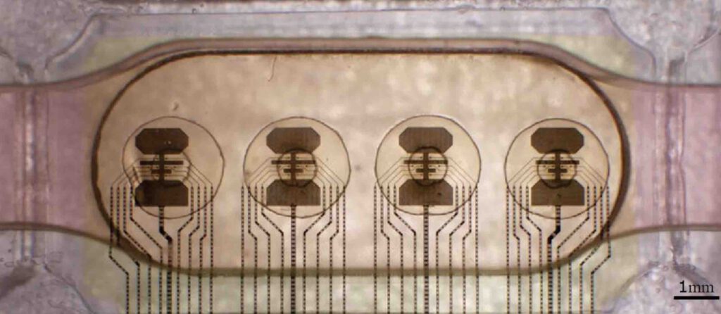 Vier bioprocessoren