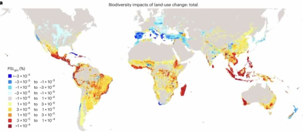 Biodiversiteitsverlies door verandering landgebruik