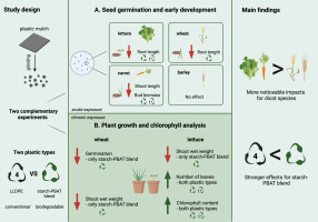 Microkunststofdeeltjes in bodem doen planten meer kwaad dan goed